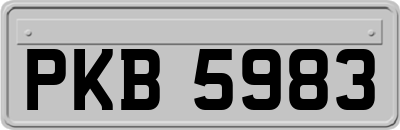 PKB5983