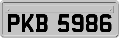 PKB5986
