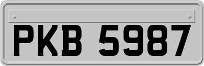 PKB5987