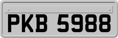 PKB5988