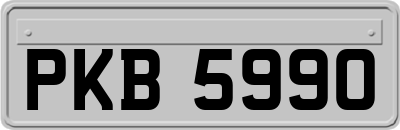 PKB5990