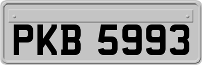 PKB5993