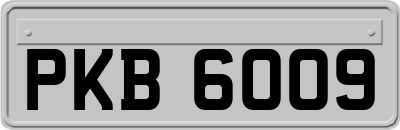 PKB6009