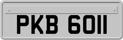 PKB6011