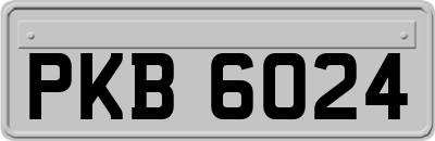 PKB6024