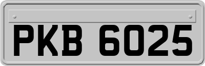 PKB6025