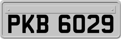 PKB6029