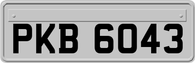 PKB6043