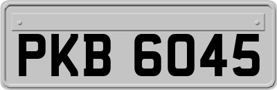 PKB6045