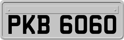 PKB6060