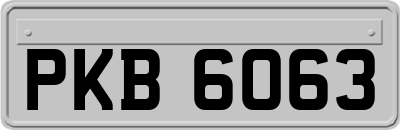 PKB6063