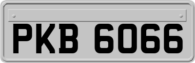 PKB6066