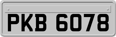 PKB6078
