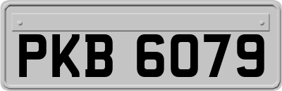PKB6079