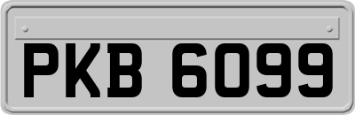 PKB6099