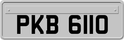 PKB6110