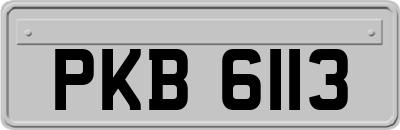 PKB6113