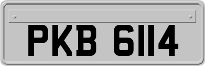 PKB6114