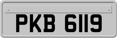 PKB6119
