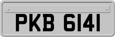 PKB6141