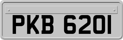 PKB6201