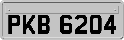 PKB6204