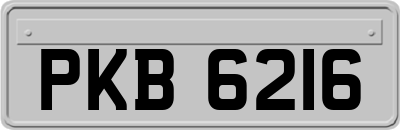 PKB6216