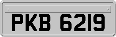 PKB6219