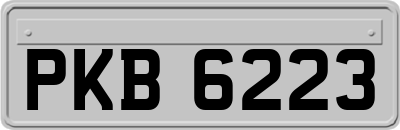 PKB6223