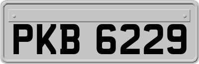 PKB6229