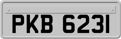 PKB6231