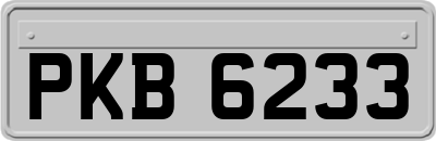 PKB6233