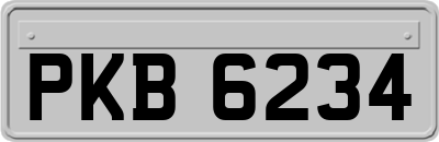 PKB6234
