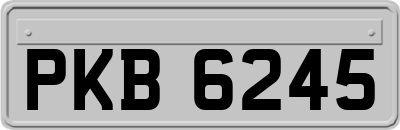 PKB6245