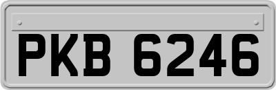 PKB6246
