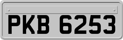 PKB6253