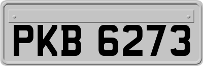 PKB6273