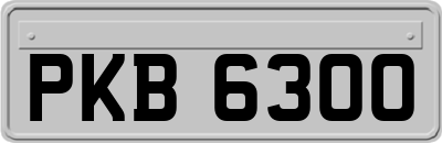 PKB6300