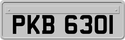 PKB6301