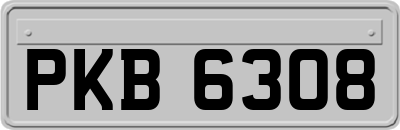 PKB6308