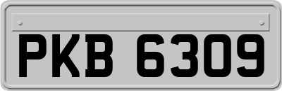 PKB6309