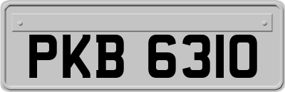 PKB6310