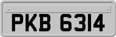 PKB6314