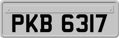 PKB6317