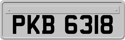 PKB6318
