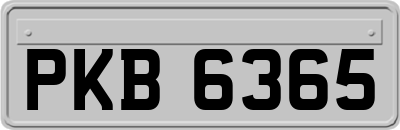 PKB6365