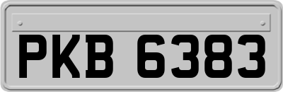 PKB6383
