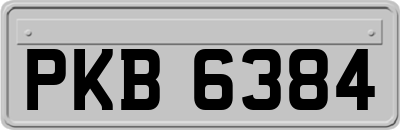 PKB6384