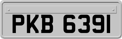 PKB6391