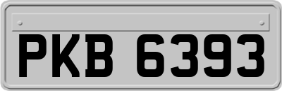 PKB6393